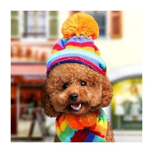 Petcircle Pet hat scarf foot kitten cat dog Teddy autumn and winter teddy puppies Bomi clothes accessories 2018 new arrival