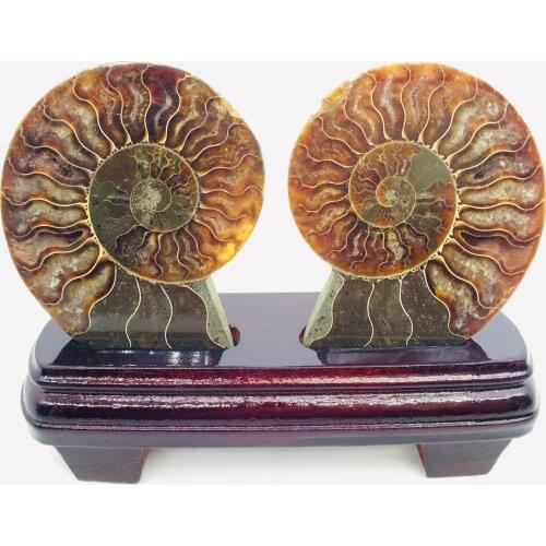 High quality quartz crystal jade nautilus family feng shui decoration natural gem collection office lucky mascot