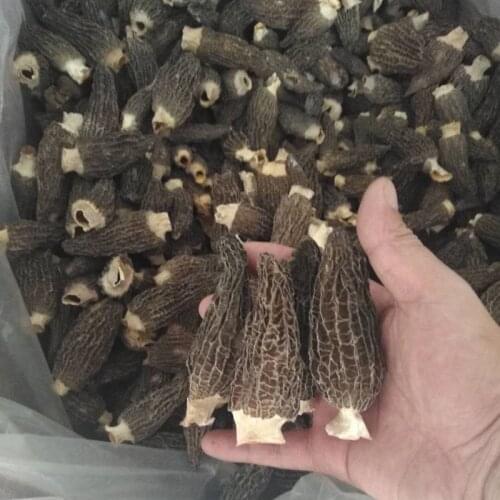 Morchella Dried Morel Mushrooms come from China’s fresh top delicacies to improve health