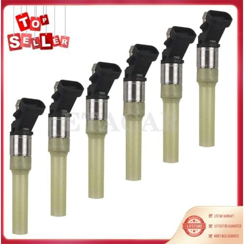 6pcs Fuel Injector FJ10565 217-1516 2171516 2173028 12568332A Fits For Chevrolet Astro GMC Safari 2002 2003 2004 2005