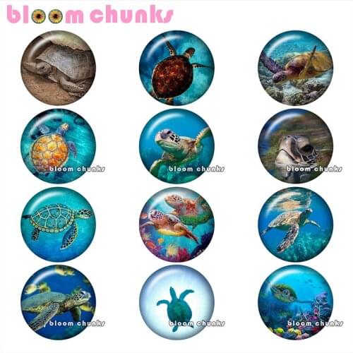 Sea Turtles Ocean Round photo glass cabochon demo flat back Making findings 12mm/18mm/20mm/25mm B3397