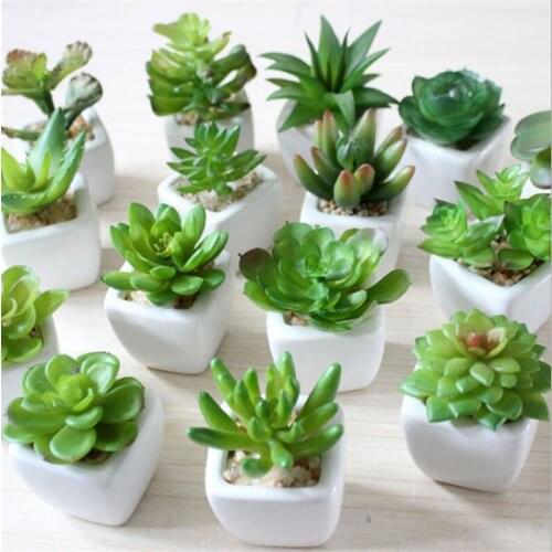 1pc Lovely Artificial Plants with Pot Simulation Succulents Mini Bonsai Potted Placed Green Fake Plants Table Decoration