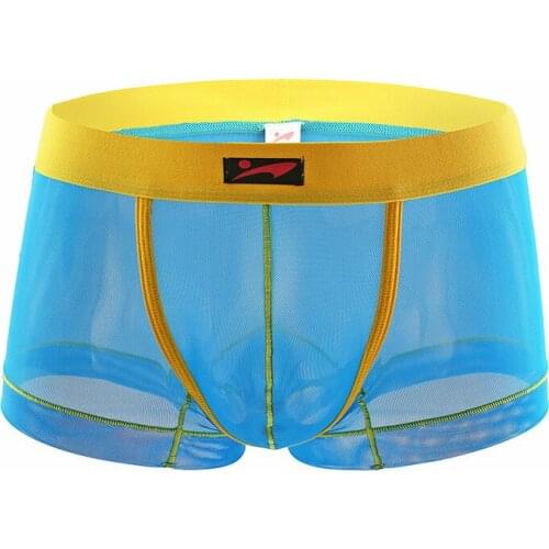 Men Underwear Men Boxer Mesh U Pouch Sexy Underpants Cueca Mesh Nylon Pants Trunks Boxer Shorts Gay Male Panties Hot
