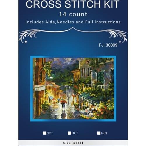 NRainy street Needlework Craft Home decor HIGHER Quality Counted Cross Stitch Kit Set DIY Oil painting Madonna Litta 3TH