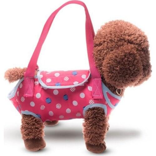 Pet Dog Cat Carrier Backpack Outdoor Travel Breathable Leg Out Shoulder Hand Bag Pet Carrying Multifunction Dog Harness 2021