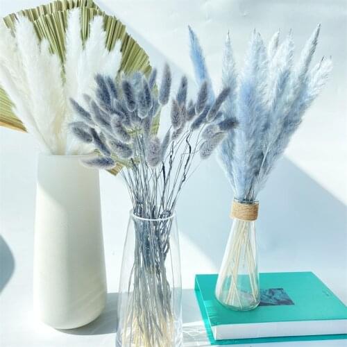 Dried Flowers Gray Black Rabbit Tail Grass White Pampas Grass Bouquet Nordic Style Home Party Decor Table Decoration Accessor