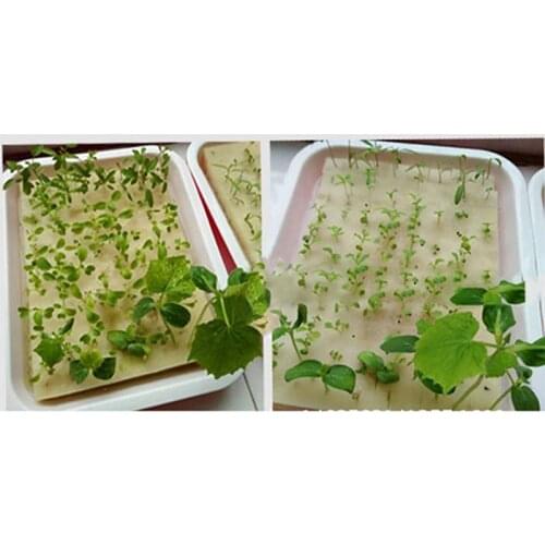 100pcs Cultivation Seedlings Vegetables Plant Nursery Sponges Soilless Hydroponics Sponge Home Garden Supplies