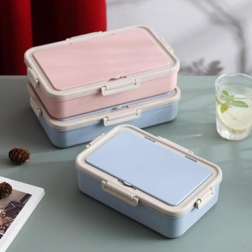 Student Lunch Box Plastic Food Storage Container Insulated Bento Box for Children Cartoon Japanese Tableware Food Thermos