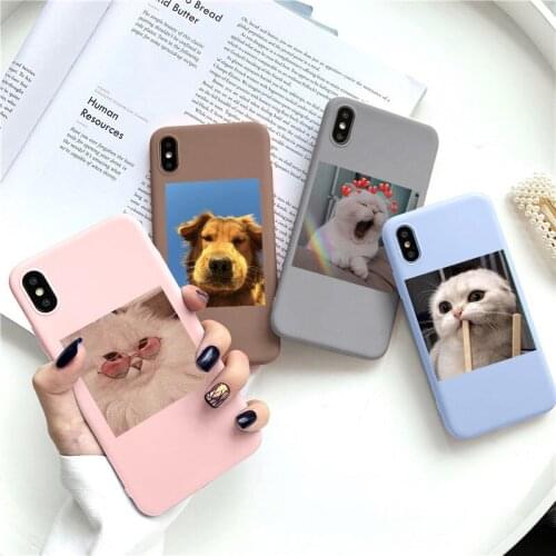 Cartoon Cat Animals Phone Case For iPhone 7 11pro 6 6s 8 Plus X XR XS 12 11 Pro Max 10 5 5s SE 2020 Silicone Soft TPU Back Cover