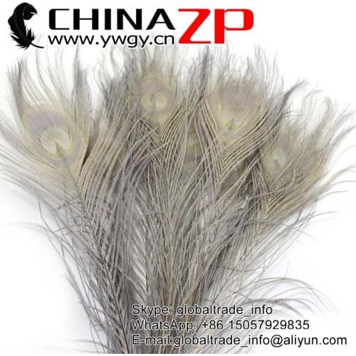 CHINAZP Factory www.ywgy.cn 500pcs/lot Christmas Decoration Full Eye Dyed Grey Peacock tail Feathers