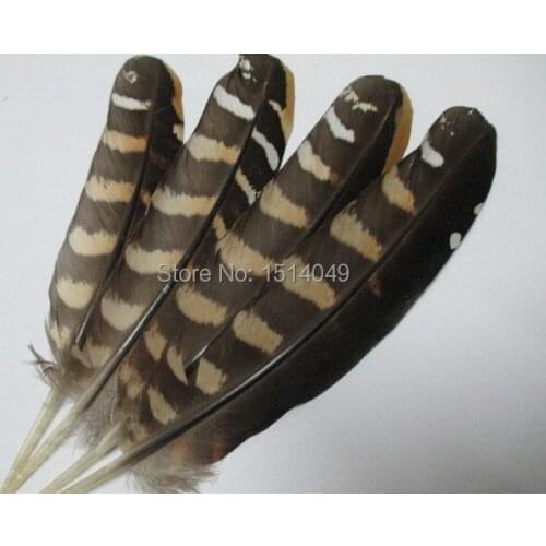 Free shipping wholesale 50pcs high quality natural Wild pheasant feathers 12-18cm / 5-7inch variety of decorative and collect
