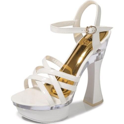 Stage 14 cm high thick heel sandals, shoes female summer waterproof platform non-slip platform sexy model sandals