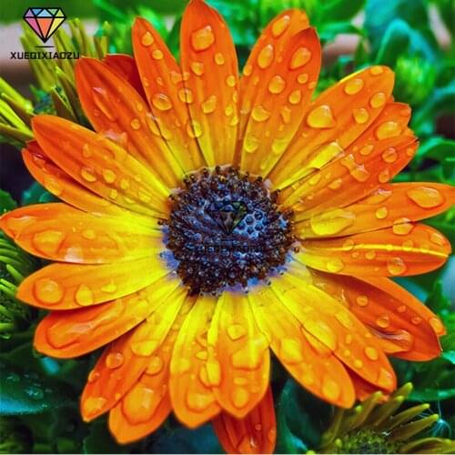 XUEQIXIAOZU Full Round sunflower Diamond drawing Diamond embroidery 5D DIY Mosaic painting Diamond setting gifts