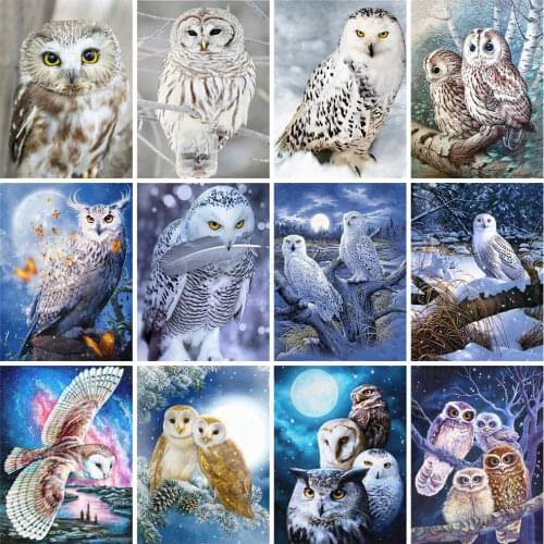 EverShine Diamond Painting Full square Owl Cross stitch Diamond Embroidery Bead Picture Kits Animals Sale Wall decoration