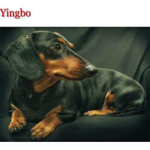 5d diamond painting kits Dachshund rhinestones full square drill Diy diamond mosaic embroidery animal cute Dog cross stitch art