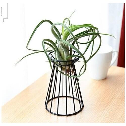 Display Stand Flower Stand Plant Bracket Potted Metal Frame Indoor Desktop Pineapple