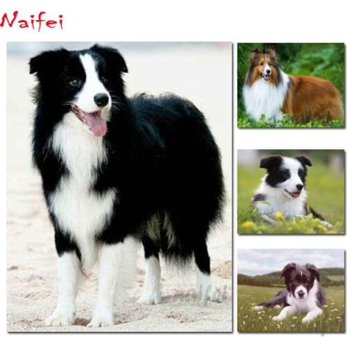5D DIY Diamond Painting"Sheepdog sheltie"Full square diamond Embroidery Border collie 3d picture Mosaic rhinestone painting