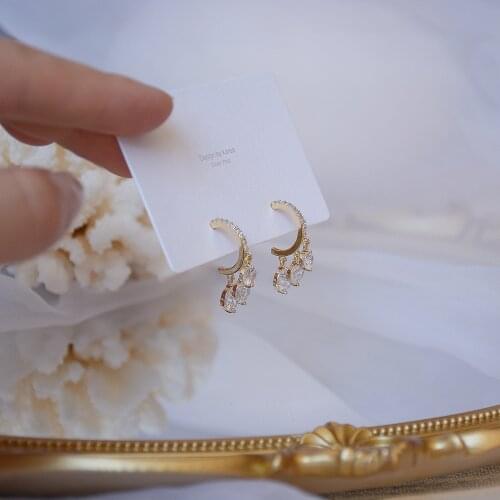 Shiny Side New Accessories Crystal Beads Stud Earrings for Women Fashion Jewelry Simple Style Zirconia Tassel Earrings