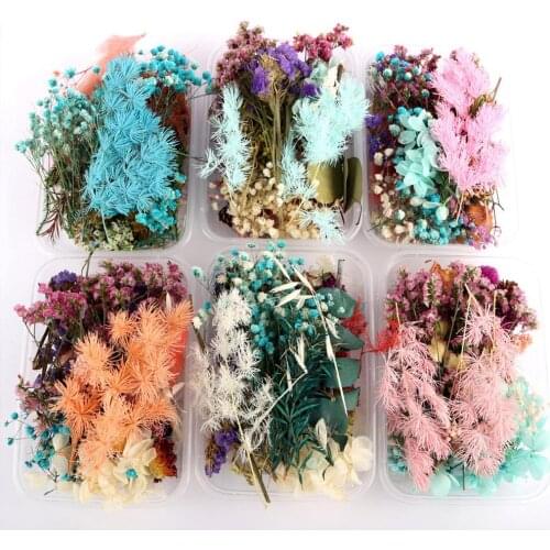Colorful Real Dried Flower Plant For Making Aromatherapy Candles Dried Flowers For Decoration More Than 10 Kinds Of Dried Flower