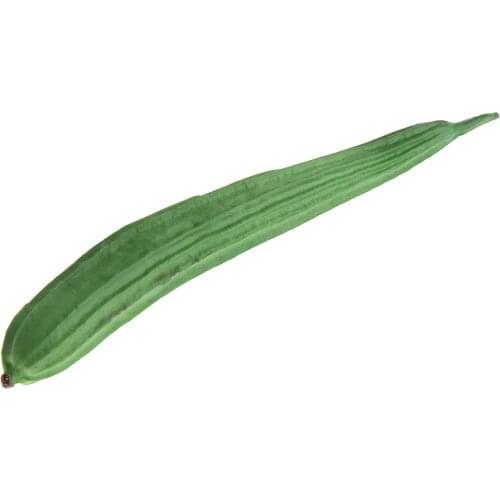 Realistic Childrens Kitchen Vegetable Loofah Food Kitchen Toys Shop Store Pretend Play Accessories