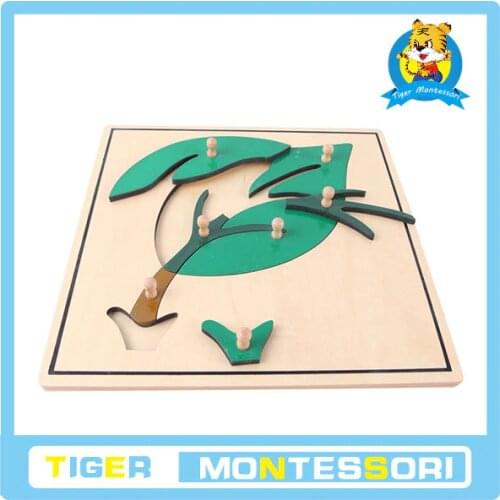 Leaf Puzzle wholesale professional montessori material wooden educational toy botany puzzle