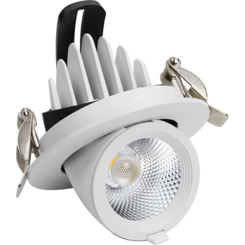 LED Trunk Downlight COB Ceiling 12W 20W 30W 40W AC85-265V Adjustable recessed Super Bright Indoor Light cob led downlight
