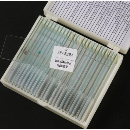 25pcs/set Different Kinds Prepared Microscope Glass Slides for Student Biological Science Education Studying