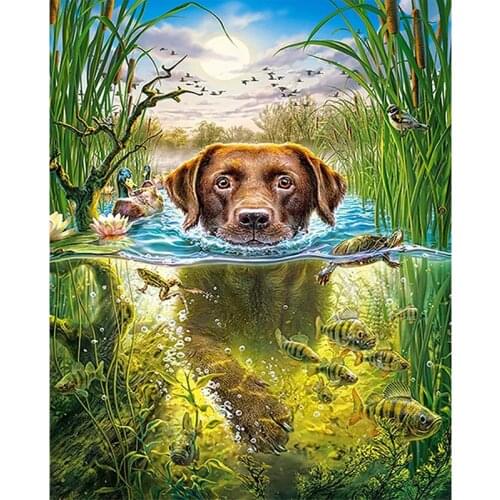 Diy Diamond Painting Dog Lying In Water full drill home decor Paint By Numbers Cross Stitch Kit Embroidery Mosaic pictureZP-1722