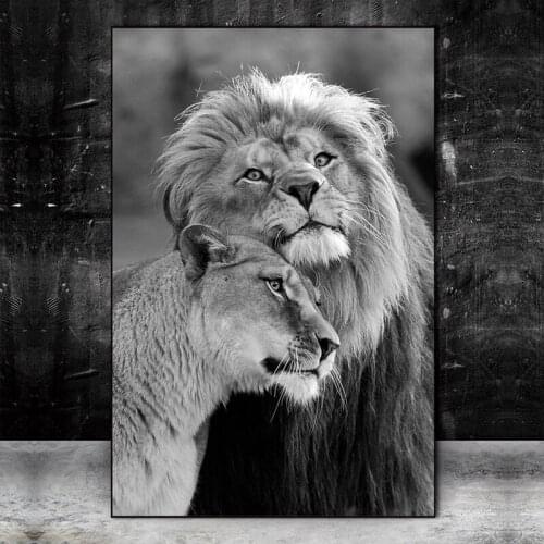 Black white African Wild Lions DIY diamond painting,full,square,round animal diamond embroidery mosaic art home painting