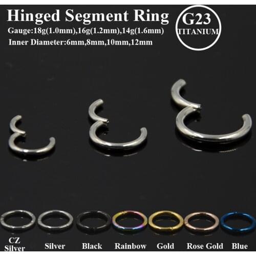 BOG-10PC 100% TITANIUM Seamless Hinged Segment Sleeper Clicker Ring Easy Open/Close Ear Hoop Lip Nose Septum Piercing Nose Ring