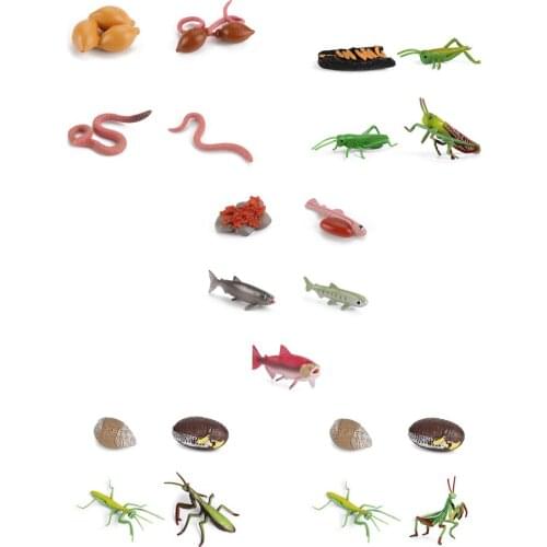 Kids Toy Animals Life Cyle Figurine Simulation Earthworm Grasshopper Praying Mantis Salmon Growth Cyle Educational Gift Models