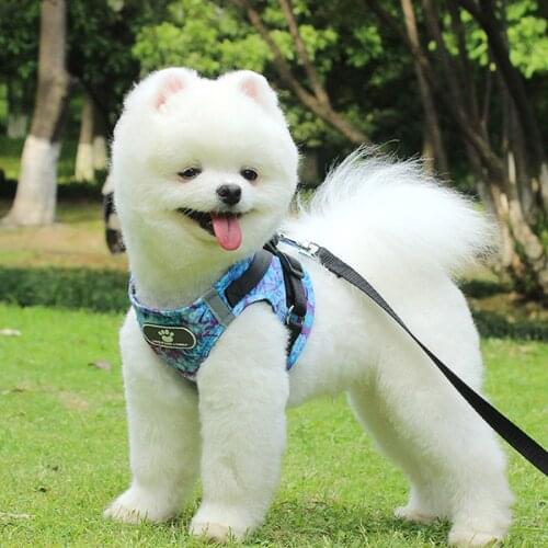 Autumn Dog Harness Vest Collar With Leash Reflective Small Dog Harness Pet Dog Cat Harness Vest Lead For Chihuahua Bulldog Vest