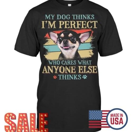 Chihuahua My Dog Thinks Im Perfect Who Cares What Anyone Else Thinks Vintage T Shirt