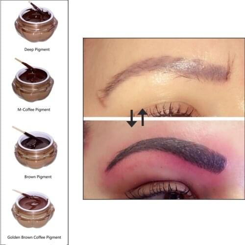 Tattoo Pigment Inks Professional Permanent Makeup Eyebrow Lip Tattoo Ink 1Pcs Microblading Embroidery Beauty Manual Pen Supply