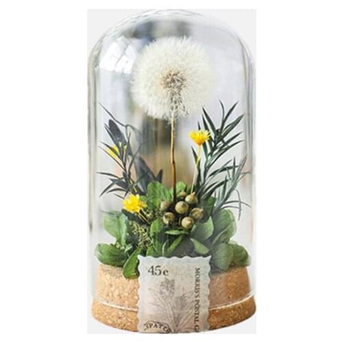 5*7cm Small Size Cork Base Glass Dome Home Decoration Dry Flower Storage Bottle DIY Friend Gift Cover Vase