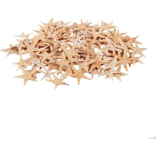 Small Starfish Star Sea Shell Beach Craft 0.4 inch-1.2 inch 90 Pcs
