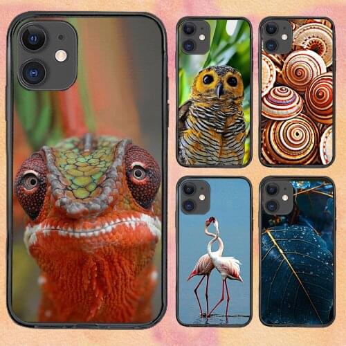 Animal Real Cute Phone Case For iphone 12 11 6 Mini Pro XS Max X XR 7 8 Plus Soft TPU Cover 12Pro 11Pro 12Mini