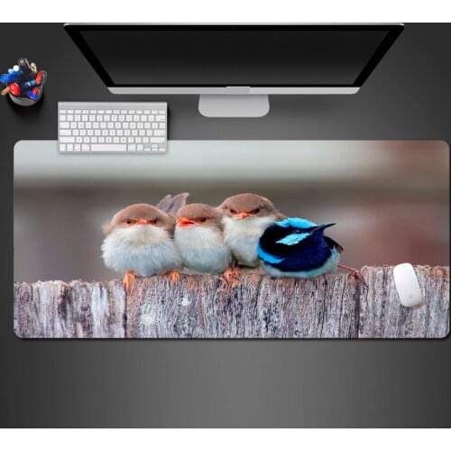 Super Lovely Interesting Animals High Quality Mouse Pad Creative Personality Notebook Computer Games Edge Rubber Washable Pad