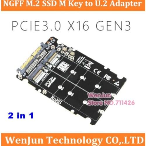 Top Sale 2 in1 M.2 NVMe SATA-Bus NGFF SSD to PCI-e U.2 SFF-8639 Adapter M.2 SSD to U.2 Converter for Desktop Computer