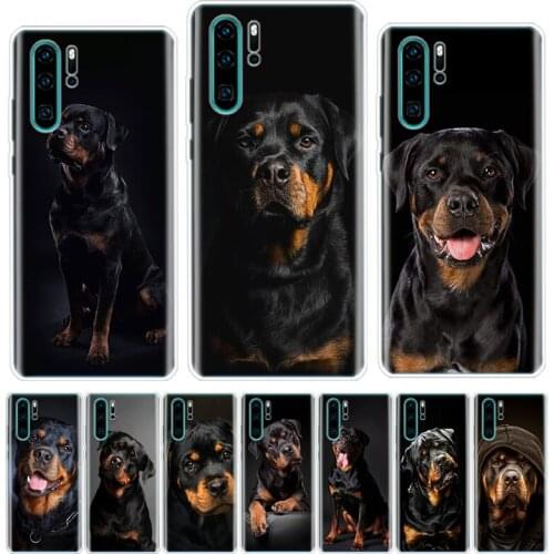 Pit Bull Lovely Pet Dog Pitbull Phone Case For Huawei Honor Y5 Y6 Y7 Y9 Y9 9 10 20 Lite Pro 7A 7X 8S 8X 8A 9X 1020i 2019 Cover S