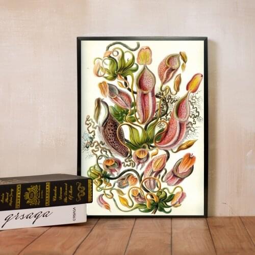Carnivorous Plant Poster Haeckel Nepenthaceae Tropical Pitcher Plants Monkey Cups Prints Wall Art Painting