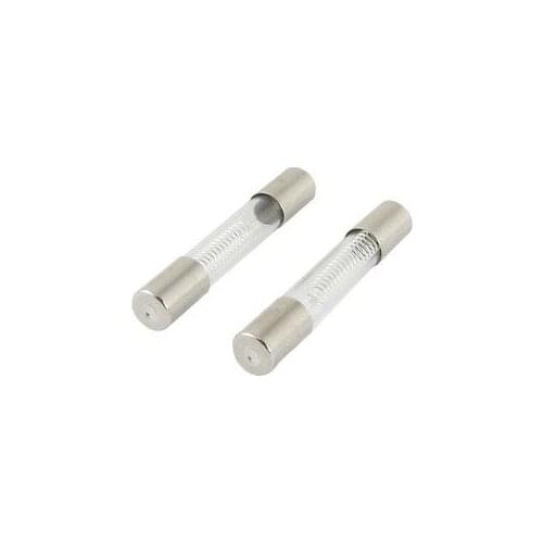 2 x 5KV 0.6A 6mm x 40mm Axial Glass Fuse Tubes for Microwave Oven Fople