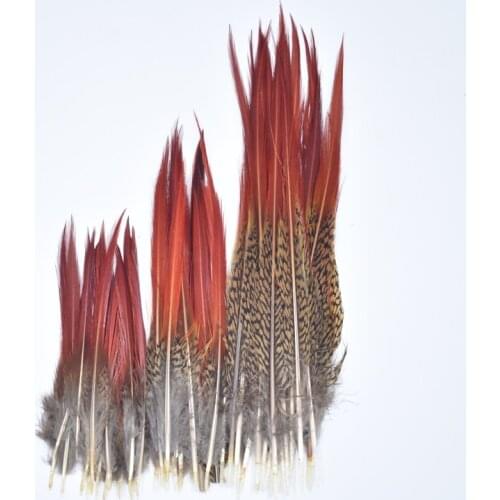 Rare Pheasant Feathers 5~25cm/2-10" Natural Hair Feathers for Clothes Craft Feather Plume Decoration Plumas Carnaval Feather Top