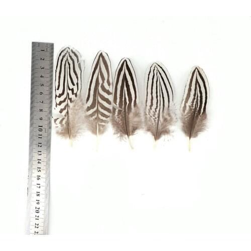 Promotion 100pcs/lot Natural Pheasant Silver Feathers 5-10cm 2-4inches Celebration Jewelry DIY Decoration Plumas