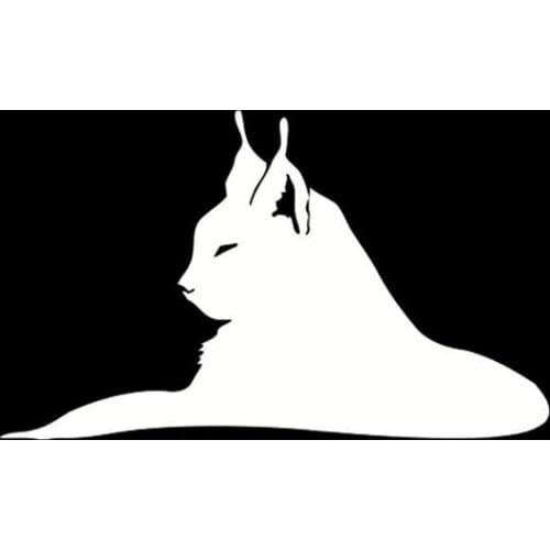 40.6*24.4CM Elegant Cat Face Car Door Stickers Vinyl Beautiful Car Styling Decoration