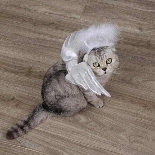 1 Set Sweet White Angel Cat Dog Costume Cosplay Wings Cap Set Pet Halloween Birthday Wedding Party Gift Pet Decor Supplies