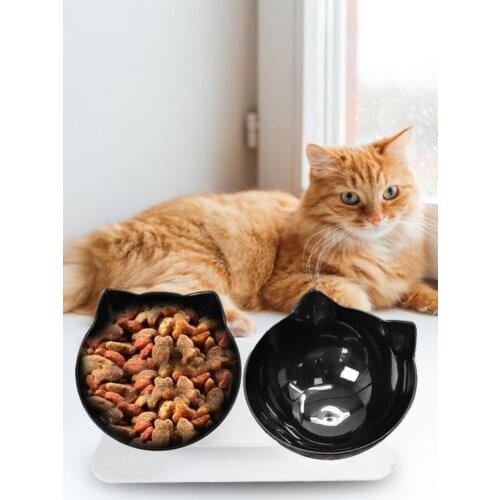 Cat Bowls 15 Degrees Tilted Non-slip No Spill Double Raised Stand Cats Dogs Creative Transparent Feeders Bowl Pet Supplies