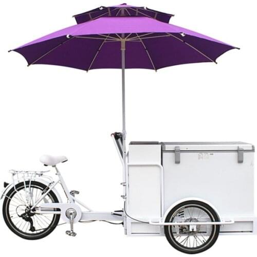 Fashion Electric Adult Tricycle Front Load Ice Cream Cargo Bike With High Quality Freezer for Sale Wholesale Price