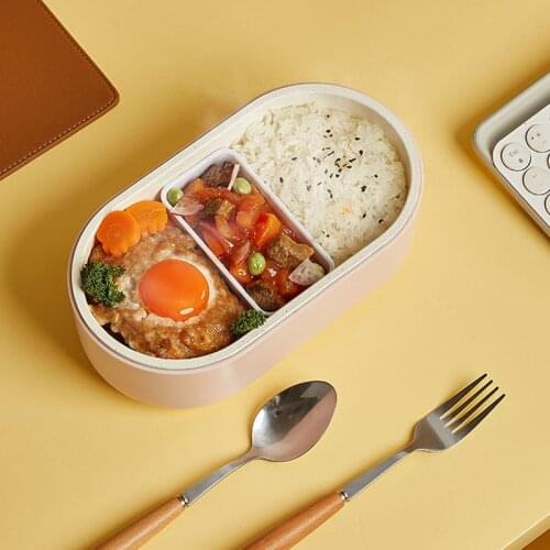 Electric Lunch Box Food Warmer 750ml Portable Lunch Heating Box Rice Cooker Water Free Heat Preservation Cooker For Office 220V