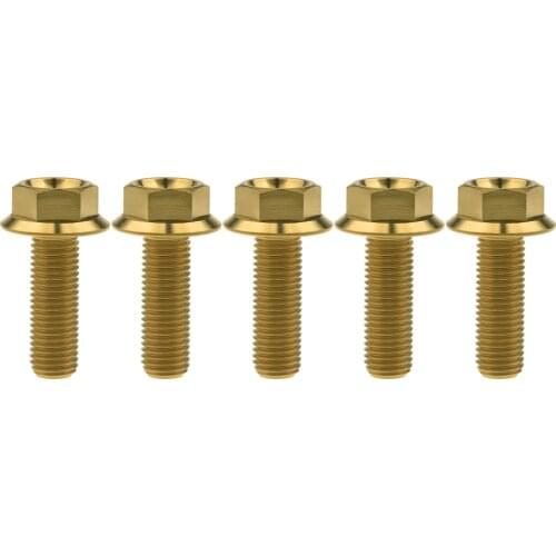 5Pcs Ti M10 X 30mm Motorcycle Modification Disc Brake Bolt Titanium Bolt Hexagon Flange Head Screws Ti Fastener